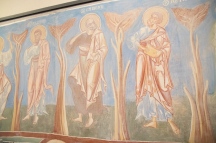 IMG_3725.jpg