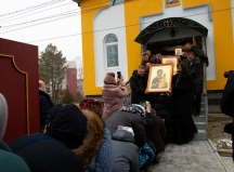 IMG_8510.jpg