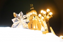 IMG_3445.jpg