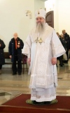 IMG_6567.jpg