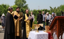 IMG_9973.jpg