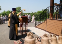 IMG_9988.jpg