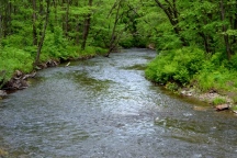 DSC_0306.JPG