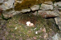 DSC_1087.JPG